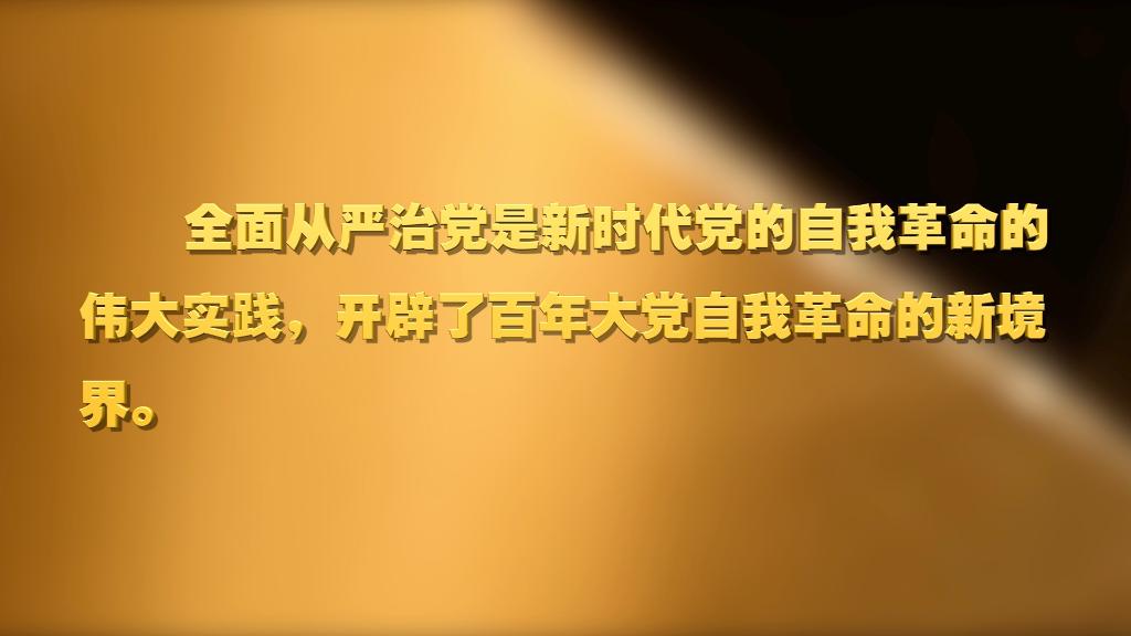 劃重點！十九屆中央紀委六次全會 習(xí)近平提出這些要求
