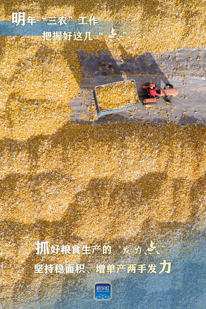 明年“三農(nóng)”工作，這幾個“點”要把握好