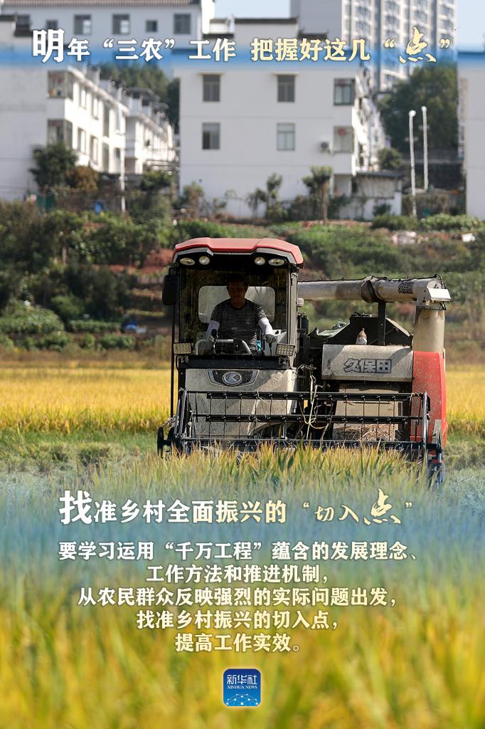 明年“三農(nóng)”工作，這幾個“點”要把握好