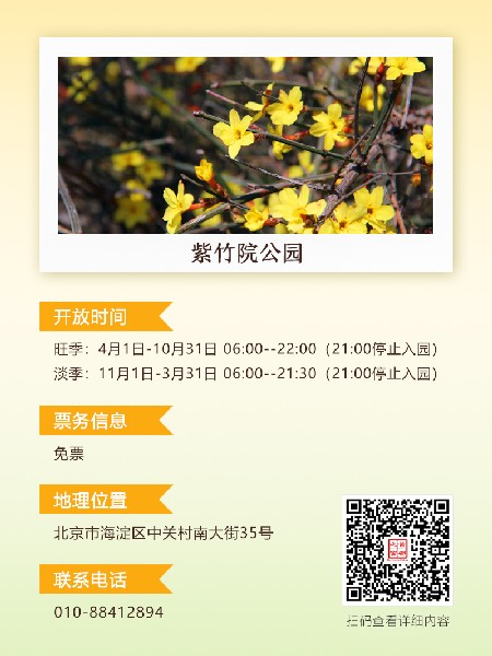 追花指南第二期！京城三月里最撩人的玉蘭觀賞地