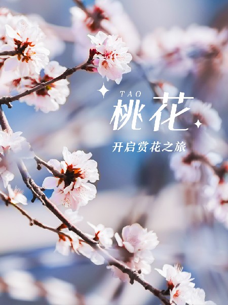 追花指南第三期！別等了 今天就去和桃花撞個滿懷