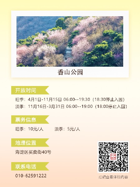 追花指南第六期！杏花雨 楊柳風(fēng) 北京最美的杏花在這里