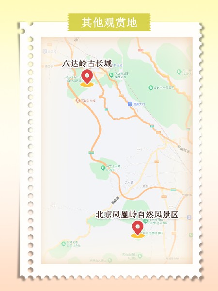 追花指南第六期！杏花雨 楊柳風(fēng) 北京最美的杏花在這里