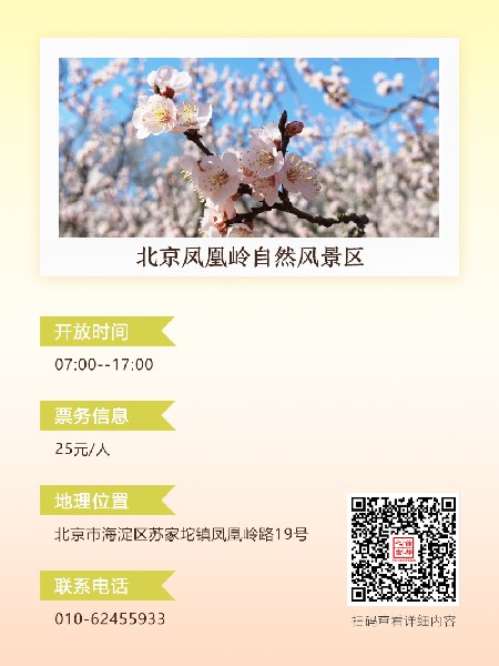 追花指南第六期！杏花雨 楊柳風(fēng) 北京最美的杏花在這里
