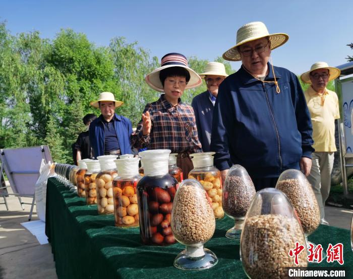 青海：利用冷涼氣候，打造高原綠色種業(yè)輸出地