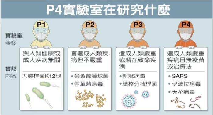 P4實(shí)驗(yàn)室在研究什么。臺(tái)灣聯(lián)合新聞網(wǎng)資料圖