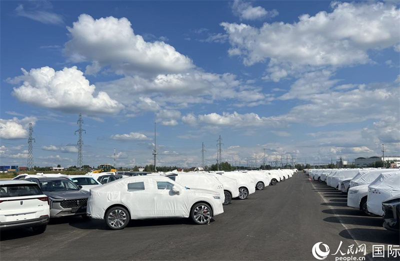 莫斯科別雷拉斯特物流中心內(nèi)的中國品牌汽車。人民網(wǎng)記者 申佳平攝