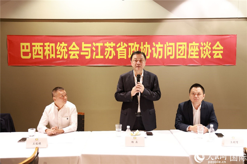 江蘇省政協(xié)副主席楊岳（中）在座談會(huì)上致辭。人民網(wǎng)記者 陳海琪攝