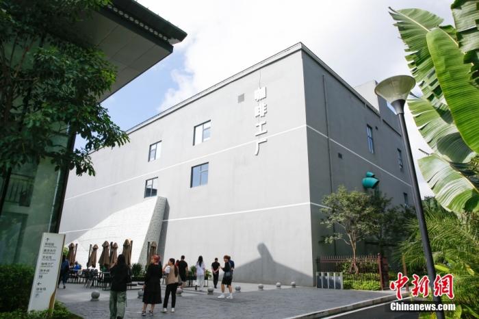圖為采訪團一行參觀咖啡工廠。 曹淼欣 攝
