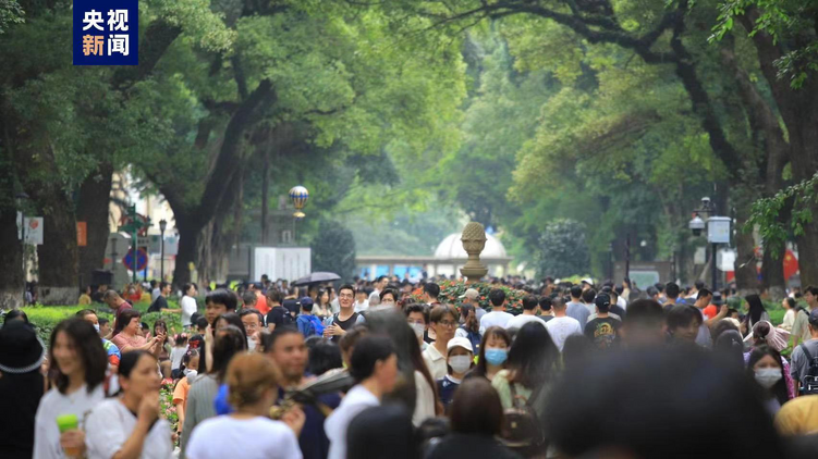 灣區(qū)速評丨多項數(shù)據(jù)破紀(jì)錄 人才何以在灣區(qū)成潮？