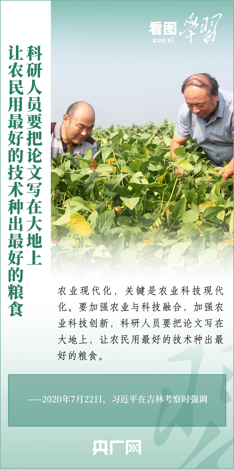 看圖學(xué)習(xí)丨推廣良田、良種、良法、良機 給農(nóng)業(yè)現(xiàn)代化插上科技的翅膀