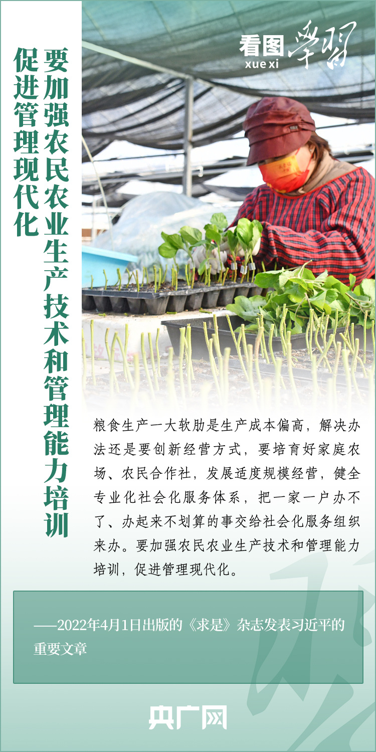看圖學(xué)習(xí)丨推廣良田、良種、良法、良機 給農(nóng)業(yè)現(xiàn)代化插上科技的翅膀