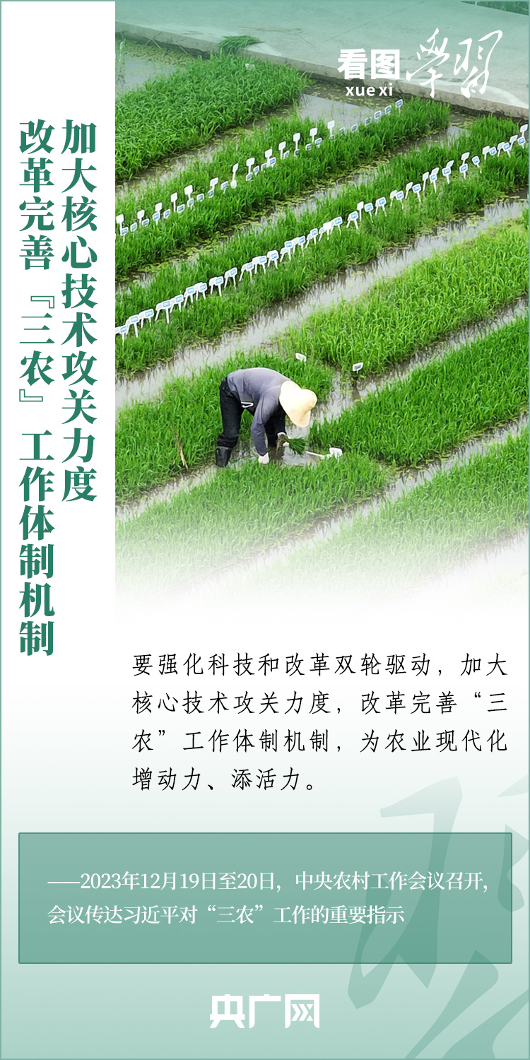 看圖學(xué)習(xí)丨推廣良田、良種、良法、良機 給農(nóng)業(yè)現(xiàn)代化插上科技的翅膀