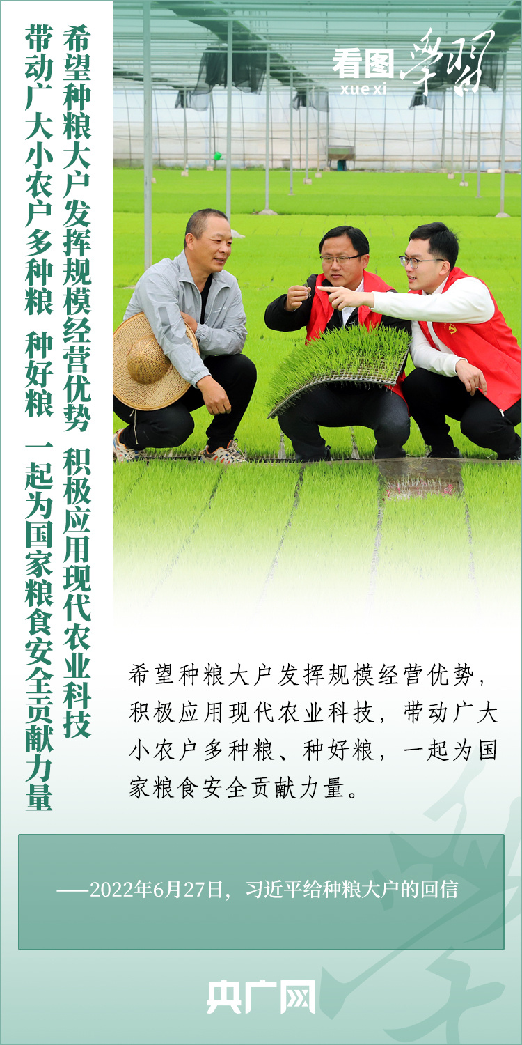 看圖學(xué)習(xí)丨推廣良田、良種、良法、良機 給農(nóng)業(yè)現(xiàn)代化插上科技的翅膀