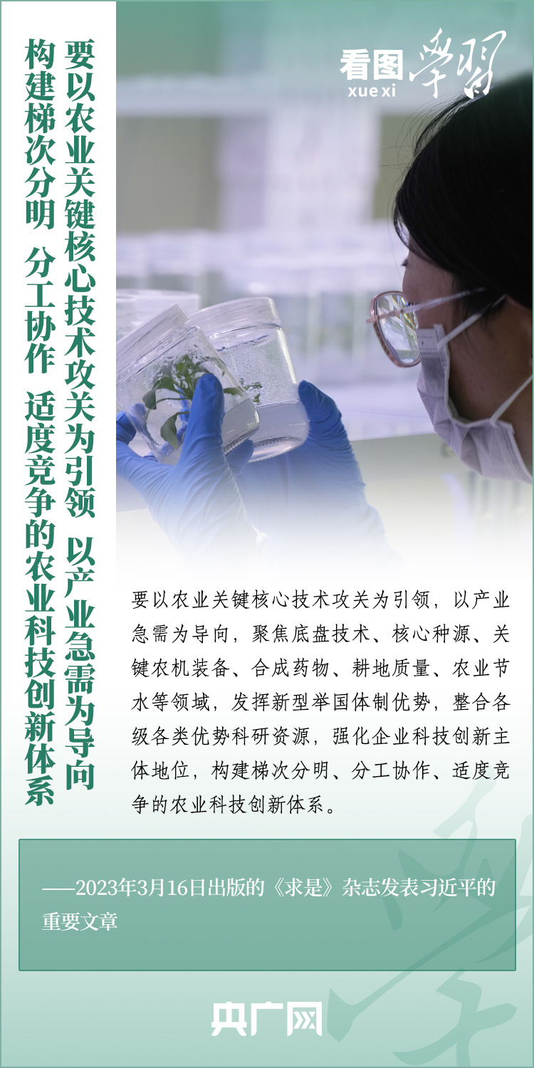 看圖學(xué)習(xí)丨推廣良田、良種、良法、良機 給農(nóng)業(yè)現(xiàn)代化插上科技的翅膀