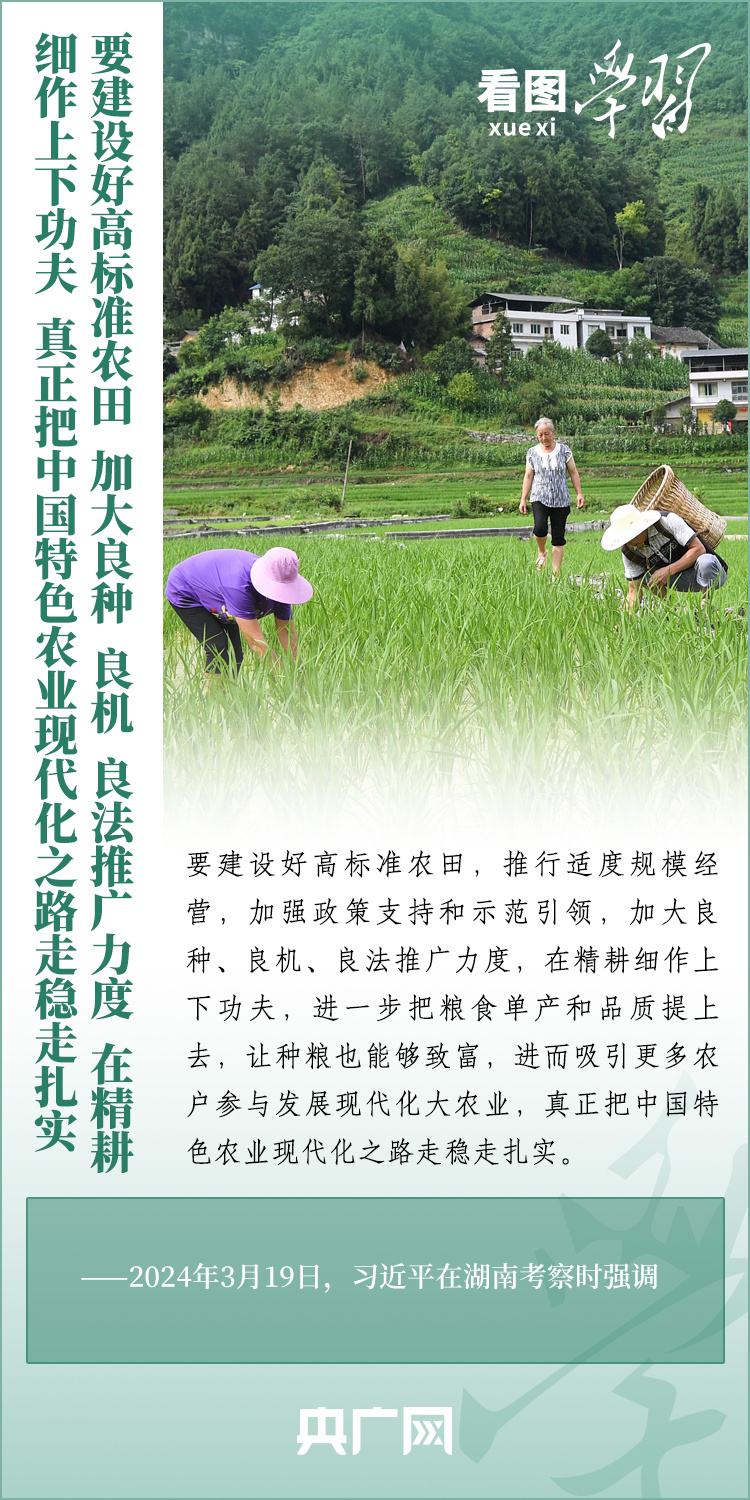 看圖學(xué)習(xí)丨推廣良田、良種、良法、良機 給農(nóng)業(yè)現(xiàn)代化插上科技的翅膀