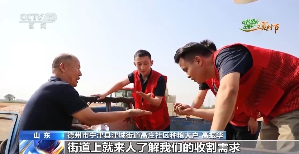 “三夏”生產(chǎn)思維導(dǎo)圖安排上了！還有政府大院等你來(lái)“曬”