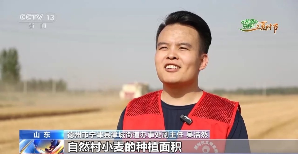 “三夏”生產(chǎn)思維導(dǎo)圖安排上了！還有政府大院等你來(lái)“曬”