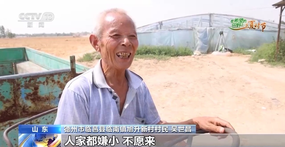 “三夏”生產(chǎn)思維導(dǎo)圖安排上了！還有政府大院等你來(lái)“曬”