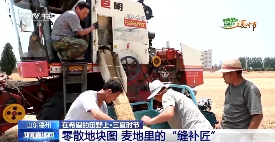 “三夏”生產(chǎn)思維導(dǎo)圖安排上了！還有政府大院等你來(lái)“曬”