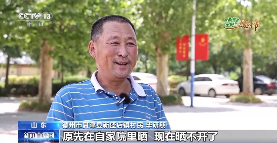 “三夏”生產(chǎn)思維導(dǎo)圖安排上了！還有政府大院等你來(lái)“曬”