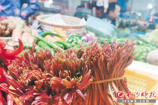 　　農(nóng)貿(mào)市場里鮮嫩的香椿?！　【鶠殚L沙晚報全媒體記者 劉捷萍 攝