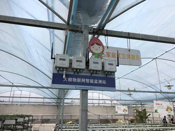 都市四季果園內(nèi)的物聯(lián)網(wǎng)智能監(jiān)測站系統(tǒng)。東?？h委宣傳部供圖
