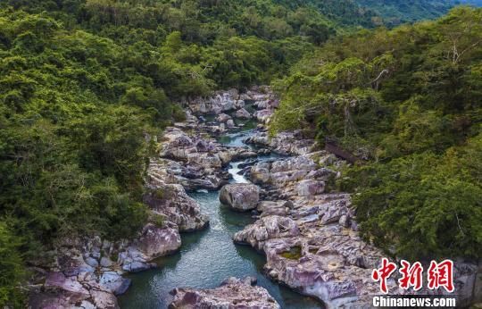 2018年海南生態(tài)環(huán)境狀況等級為“優(yōu)”，植被覆蓋率高，生物多樣性豐富，生態(tài)系統(tǒng)穩(wěn)定，圖為海南中部熱帶雨林?！●樤骑w　攝
