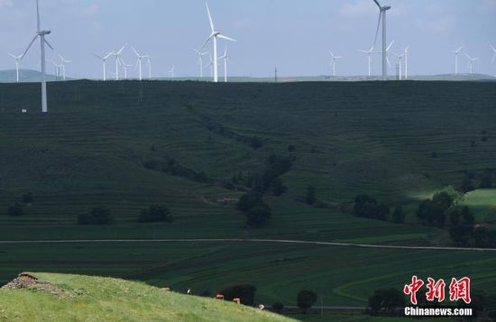 6月28日，河北張家口張北草原上大片風力發(fā)電的“風車”規(guī)模宏大。 中新社記者 楊艷敏 攝