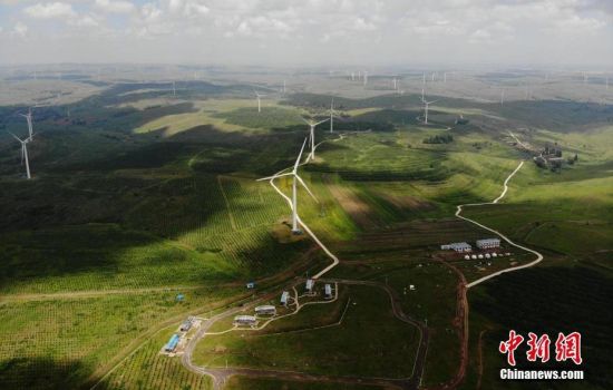 6月28日，河北張家口張北草原上大片風力發(fā)電的“風車”規(guī)模宏大。 中新社記者 楊艷敏 攝