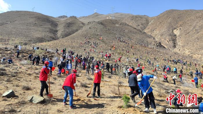 圖為組織開展植樹造林活動。　共青團(tuán)西藏自治區(qū)委員會供圖