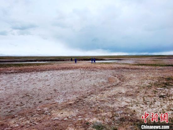 圖為救援力量在青海省西部搜救失聯(lián)的江蘇南京某大學(xué)女生黃某某。海西州藍(lán)天應(yīng)急救援中心 供圖