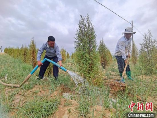 圖為扎西和村民給樹(shù)澆水。　祁增蓓　攝
