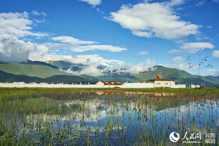 納帕海濕地風(fēng)景。呂昊辰攝