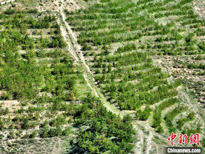 航拍建行青海省分行綠化區(qū)?！∑钤鲚?攝