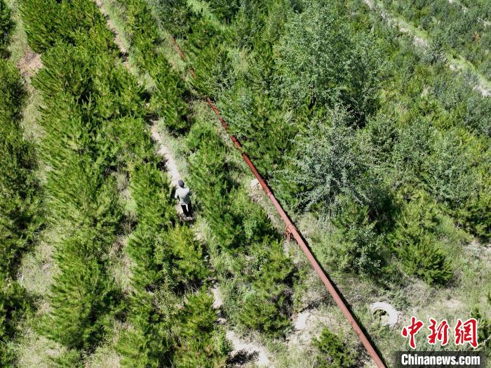 航拍建行青海省分行綠化區(qū)施工隊隊長盧占祥正在巡護(hù)綠化區(qū)?！∑钤鲚?攝