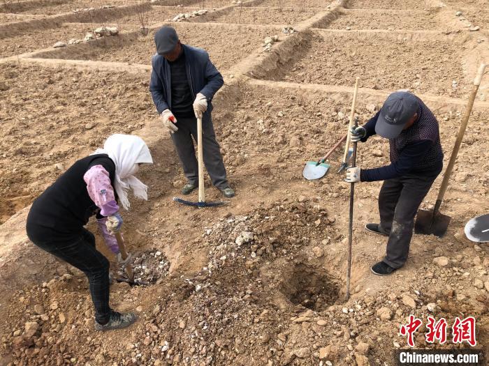 資料圖為建行青海省分行綠化區(qū)施工隊隊員處理亂石?！〗ㄐ星嗪Ｊ》中泄﹫D