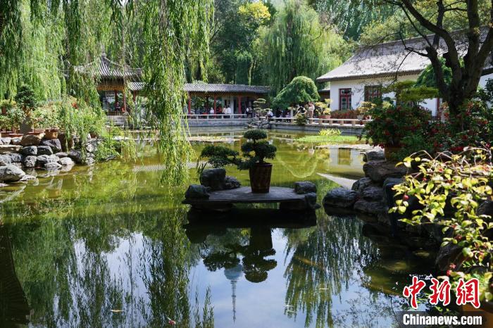 圖為西寧園林植物園秋日風(fēng)景別有韻味?！●R銘言 攝