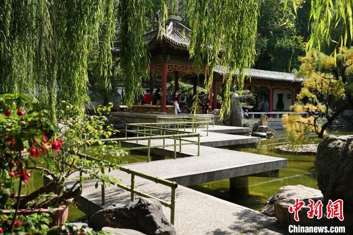 圖為西寧園林植物園秋日風(fēng)景別有韻味?！●R銘言 攝