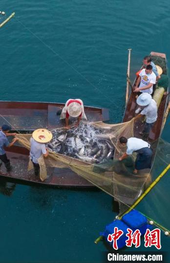 捕魚現(xiàn)場?！≈鬓k方供圖