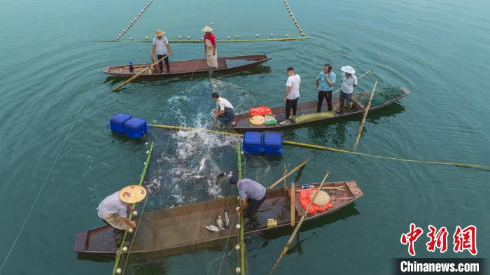 捕魚現(xiàn)場?！≈鬓k方供圖