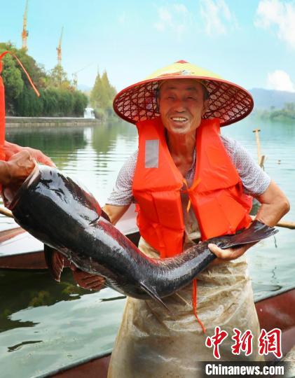工作人員展示捕撈成果?！≈鬓k方供圖