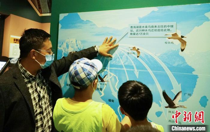 圖為小朋友在青海西寧湟水國(guó)家濕地公園科普館內(nèi)參觀學(xué)習(xí)?！●R銘言 攝