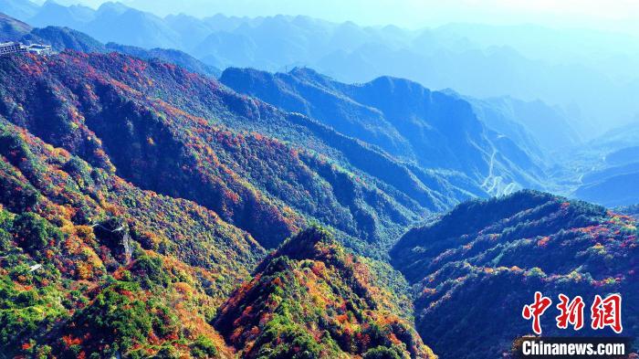 巴山大峽谷彩林迎來最佳觀賞期?！埰?攝
