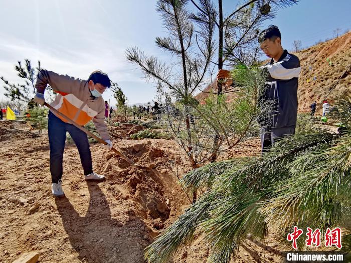 圖為西寧市城東區(qū)義務(wù)植樹活動(dòng)現(xiàn)場。　張?zhí)砀?攝