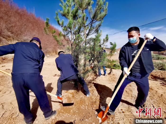 圖為西寧市城東區(qū)義務(wù)植樹活動(dòng)現(xiàn)場。　張?zhí)砀?攝