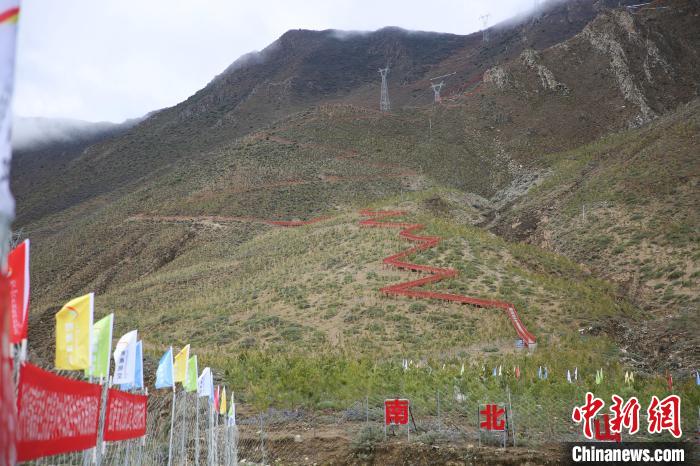 圖為拉薩南北山綠化工程拉薩曲水縣才納村5號片區(qū)。　貢確 攝