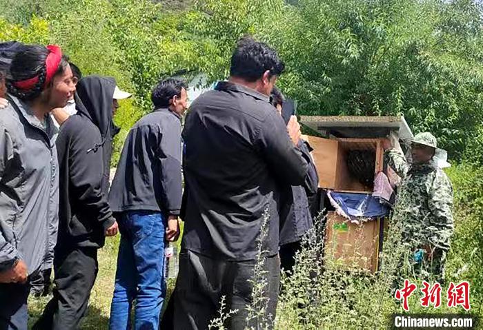 拉久西村村民學(xué)習(xí)養(yǎng)蜂工作流程和防范事項。　昌都市芒康縣委宣傳部供圖