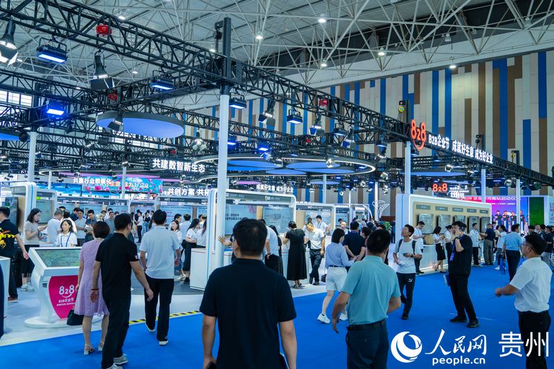 2、2024數(shù)博會(huì)共吸引400余家展商參展。人民網(wǎng) 陽(yáng)茜攝.jpg