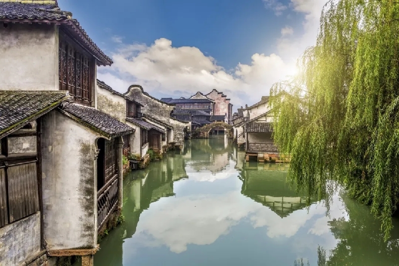 烏鎮(zhèn)動(dòng)觀察｜這個(gè)字，牽起國(guó)際交流互鑒之紐帶